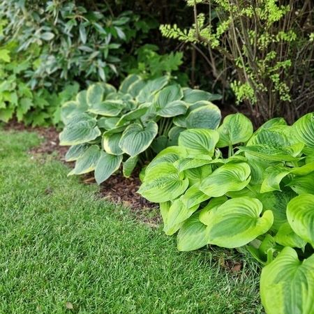 Sommer Gartengestaltung