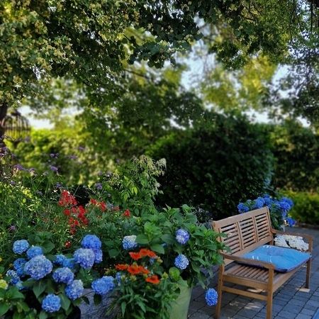 Sommer Gartengestaltung