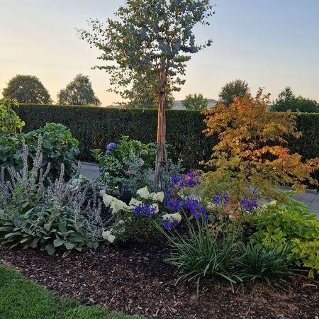 Sommer Gartengestaltung
