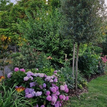 Sommer Gartengestaltung