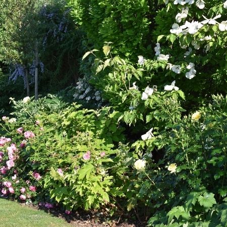 Sommer Gartengestaltung