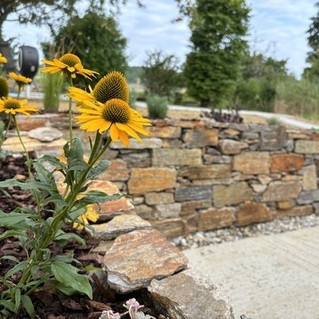 Sommer Gartengestaltung