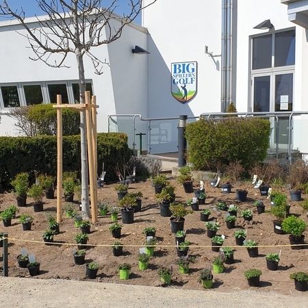 Sommer Gartengestaltung