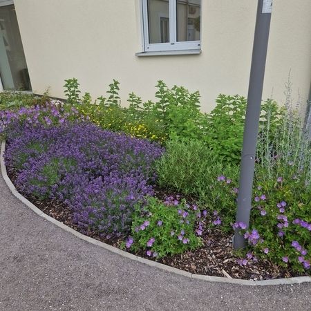 Sommer Gartengestaltung
