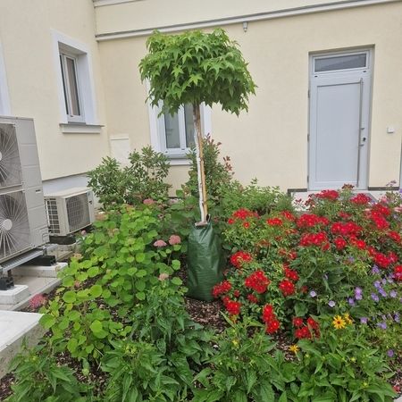 Sommer Gartengestaltung