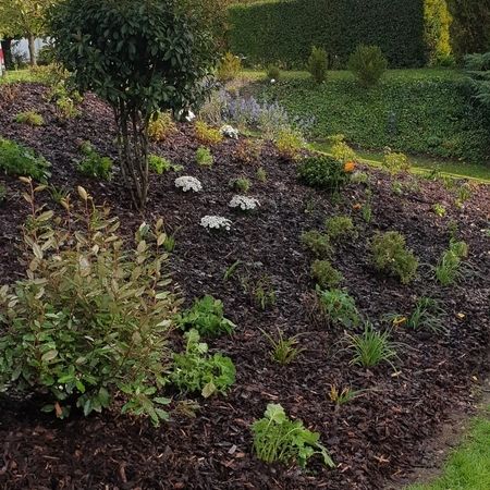 Sommer Gartengestaltung