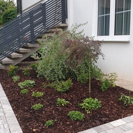Sommer Gartengestaltung