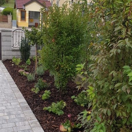 Sommer Gartengestaltung