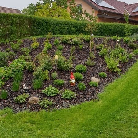 Sommer Gartengestaltung