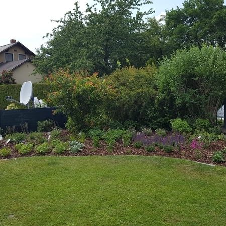 Sommer Gartengestaltung