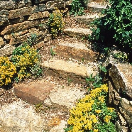 Sommer Gartengestaltung
