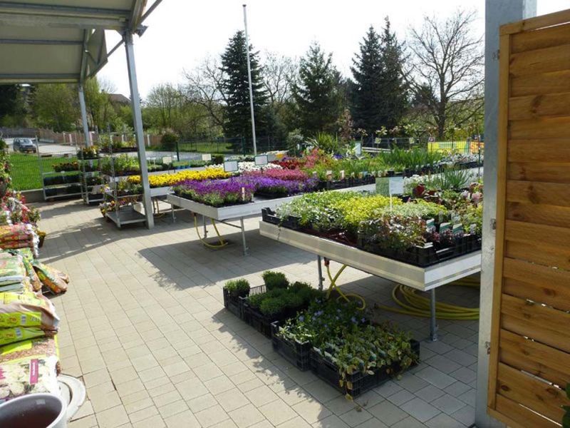 Sträucher und Stauden