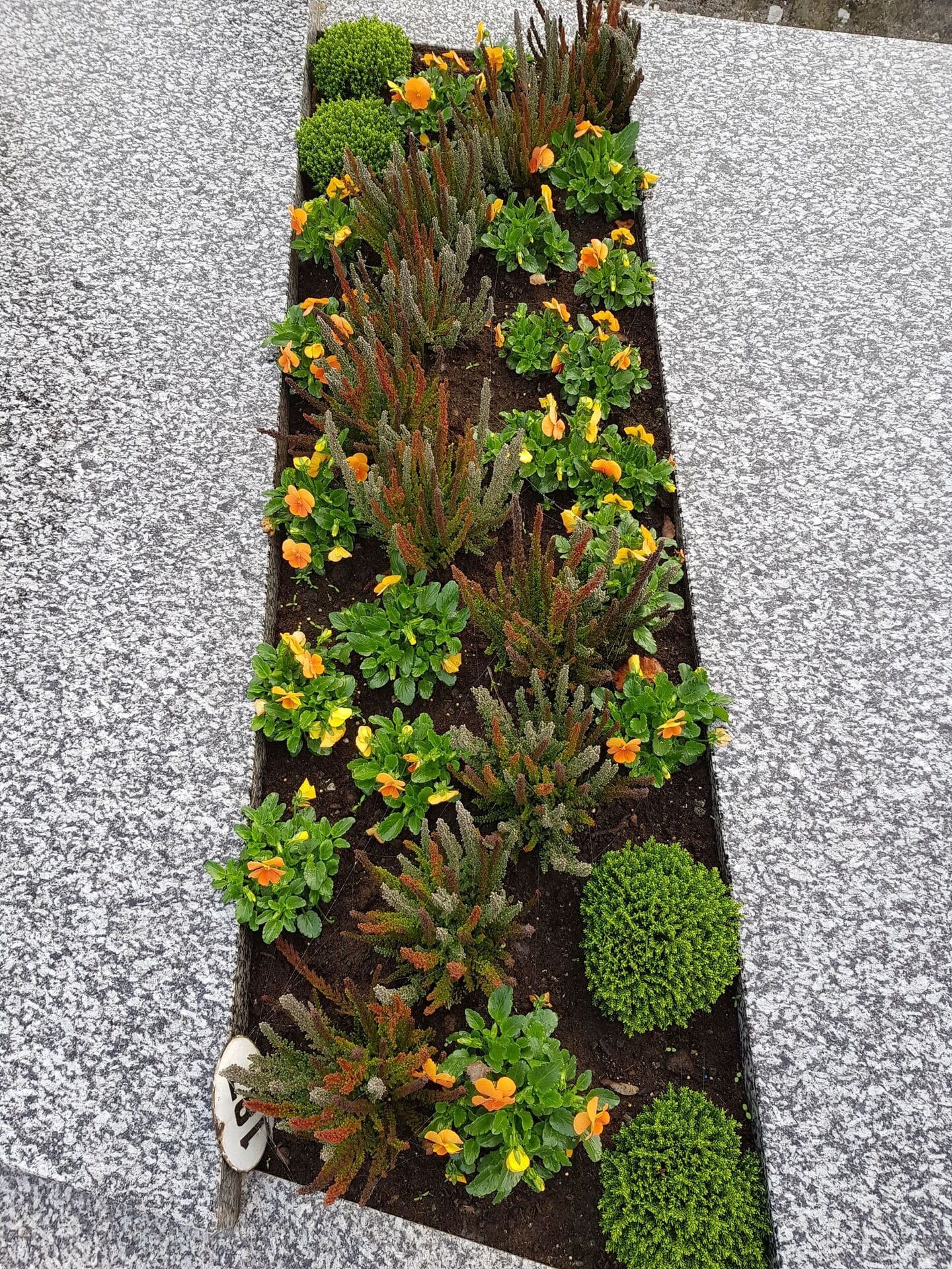 Grabpflege Gärtnerei Sommer