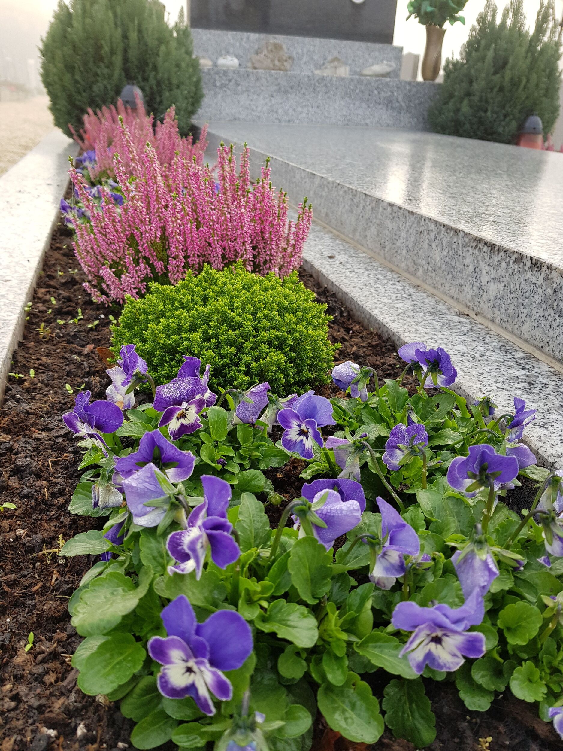 Grabpflege Gärtnerei Sommer