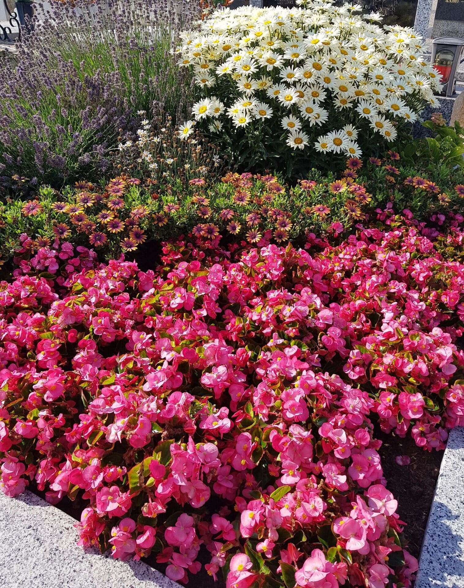 Grabpflege Gärtnerei Sommer