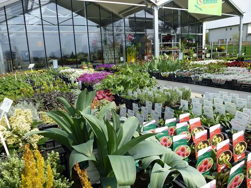 Blick auf Verkaufsflächen einer Gärtnerei mit Pflanzen in Töpfen und Schildern.