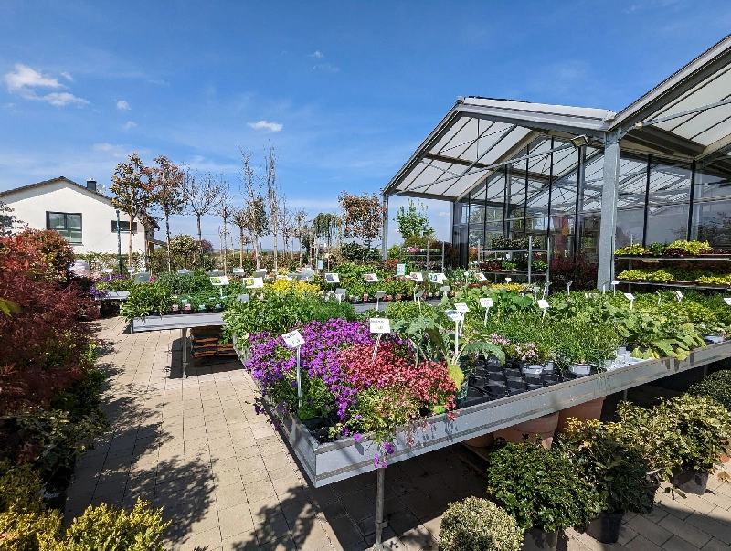 Großer Außenbereich der Gärtnerei mit bunten Beet- und Balkonpflanzen bei strahlender Sonne. Ihre Gärtnerei im Weinviertel